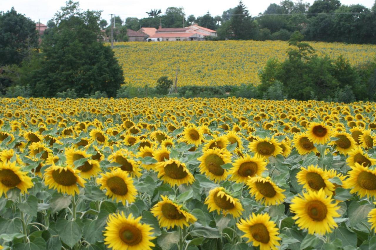 Bed and Breakfast Les Cerisiere Cheffois Экстерьер фото